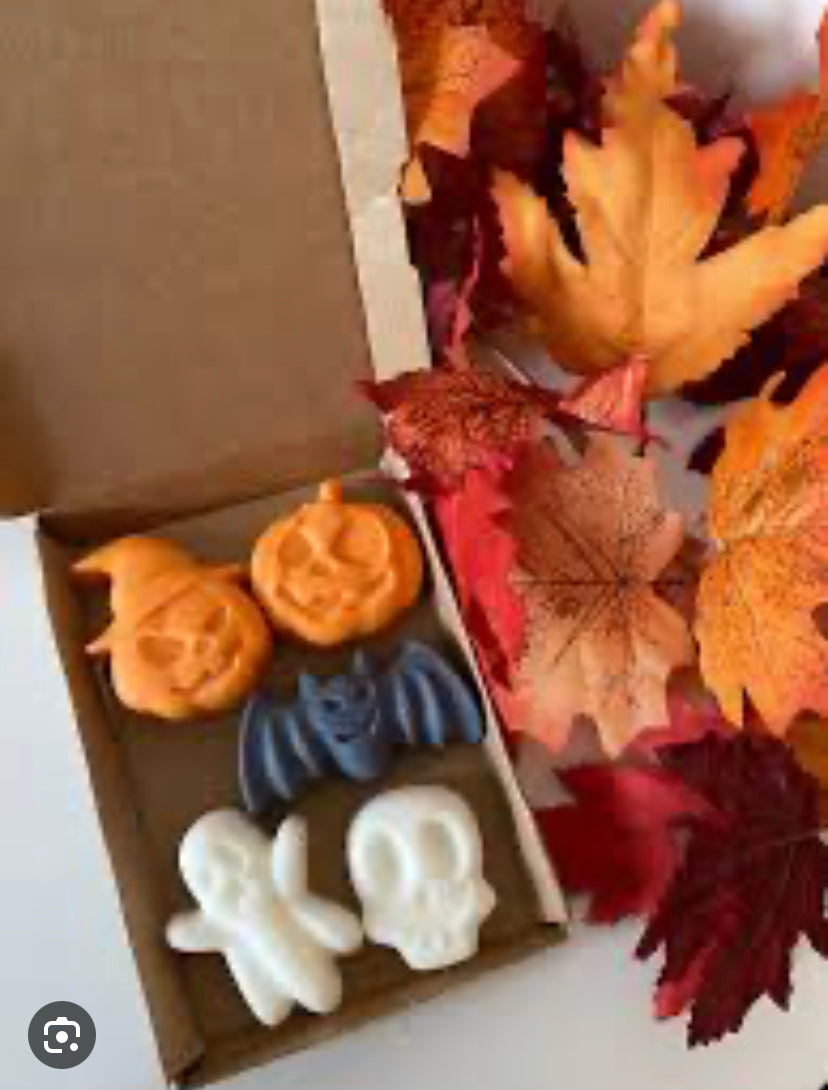 Aroma-Special-Sets alles was der Herbst zu bieten hat an wunderbaren Düften-eine besondere Auswahl an Melts und Kerzen